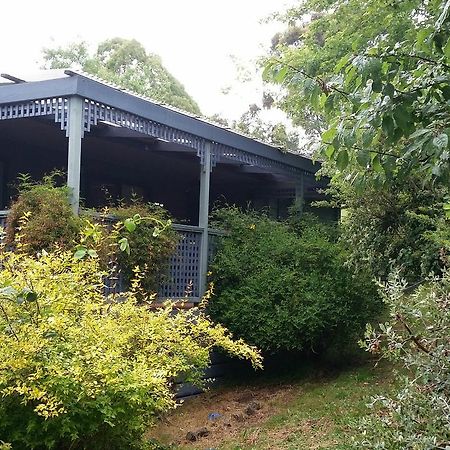 View Mount Villa Sawmill Settlement Exterior foto